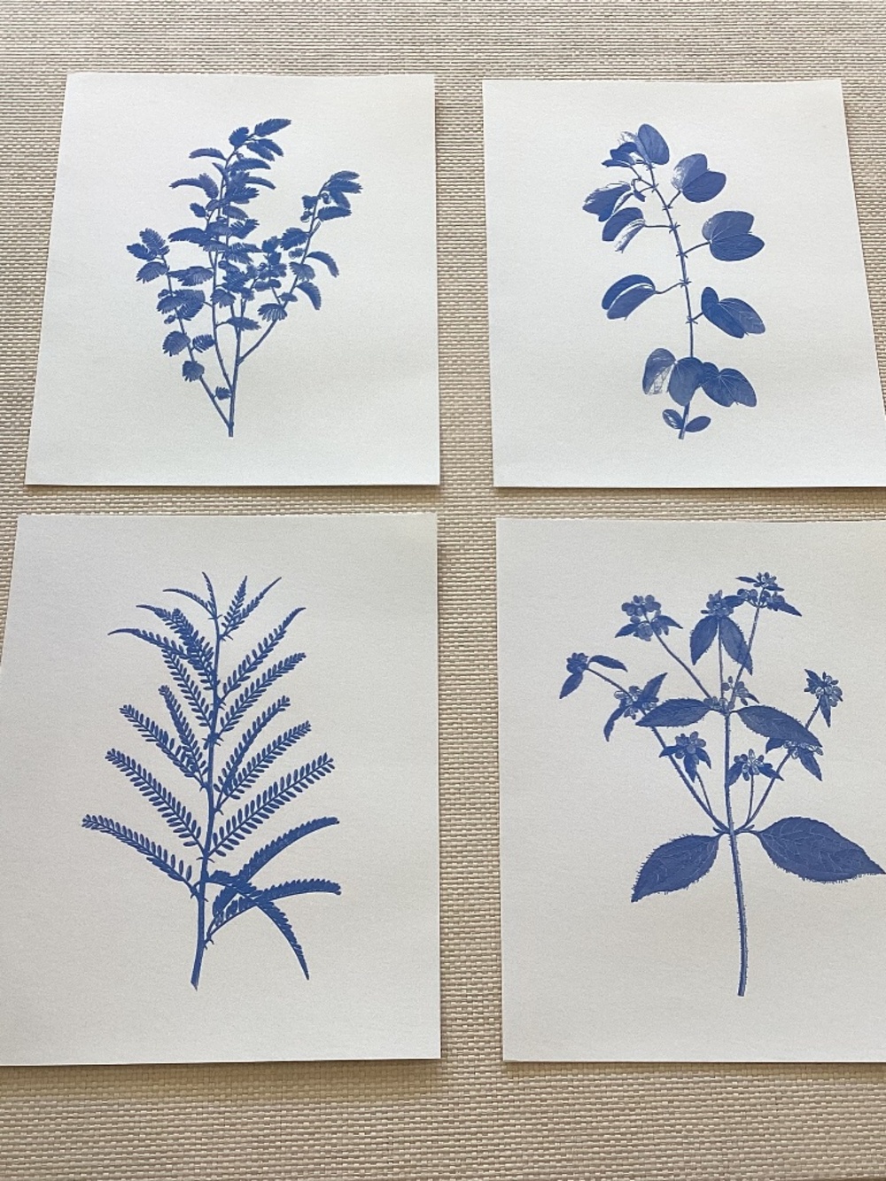Set of (4) Botanical Prints